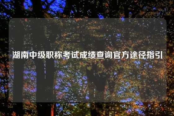湖南中级职称考试成绩查询官方途径指引