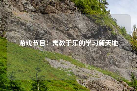 游戏节目:寓教于乐的学习新天地