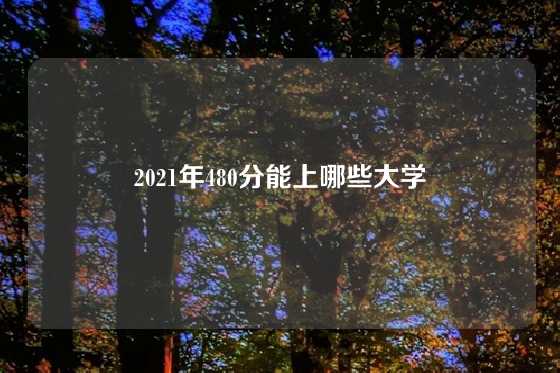 2021年480分能上哪些大学