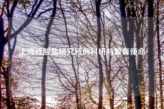 上海硅酸盐研究所的科研与教育使命