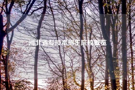河北省专接本招生院校概览
