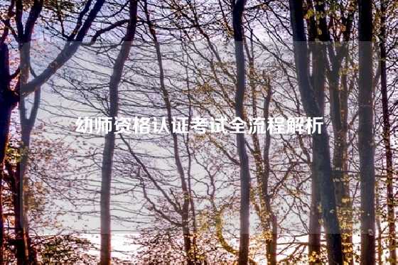 幼师资格认证考试全流程解析