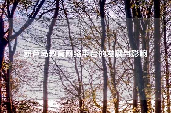 葫芦岛教育网络平台的发展与影响