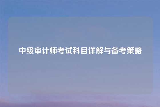 中级审计师考试科目详解与备考策略