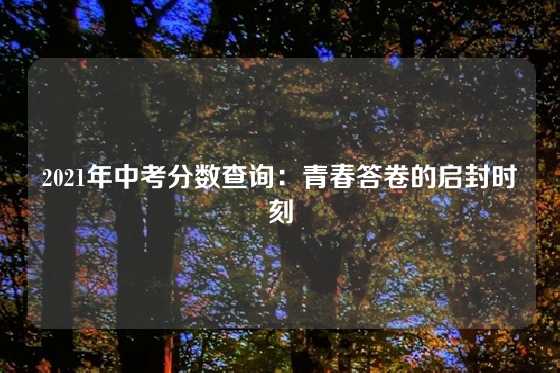 2021年中考分数查询：青春答卷的启封时刻