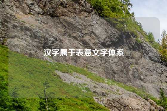 汉字属于表意文字体系