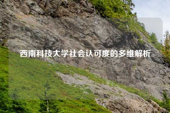 西南科技大学社会认可度的多维解析