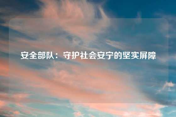 安全部队：守护社会安宁的坚实屏障