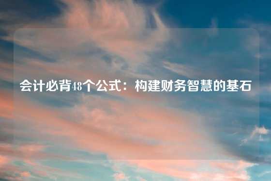 会计必背48个公式:构建财务智慧的基石