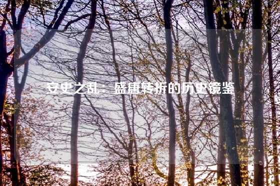 安史之乱：盛唐转折的历史镜鉴