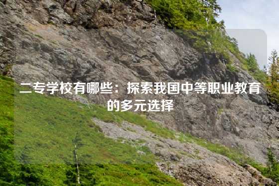 二专学校有哪些：探索我国中等职业教育的多元选择