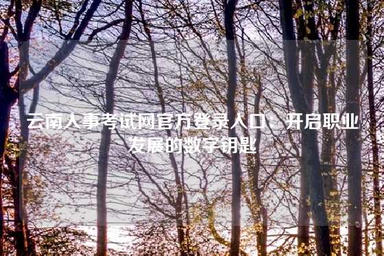 云南人事考试网官方登录入口：开启职业发展的数字钥匙