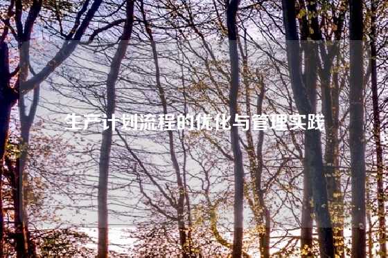 生产计划流程的优化与管理实践