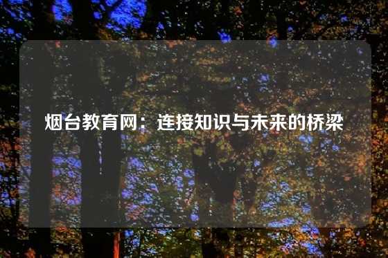 烟台教育网：连接知识与未来的桥梁