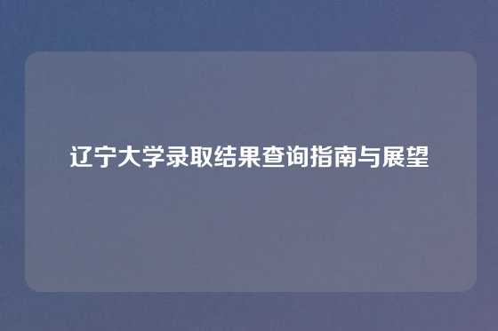辽宁大学录取结果查询指南与展望