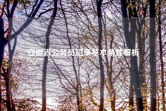 安徽省公务员招录基本条件解析