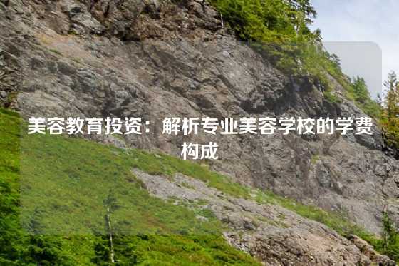 美容教育投资：解析专业美容学校的学费构成