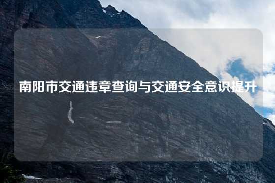 南阳市交通违章查询与交通安全意识提升