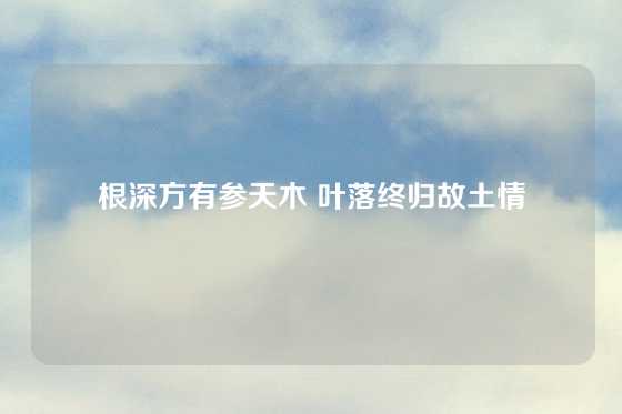 根深方有参天木 叶落终归故土情