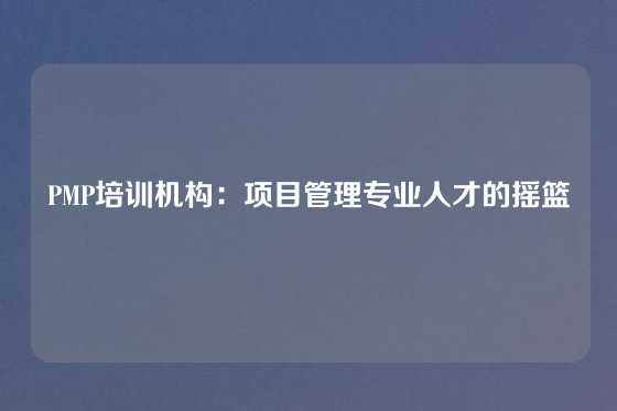 PMP培训机构：项目管理专业人才的摇篮